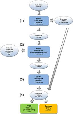 Unveiling Chloroplast RNA Editing Events Using Next Generation Small RNA Sequencing Data